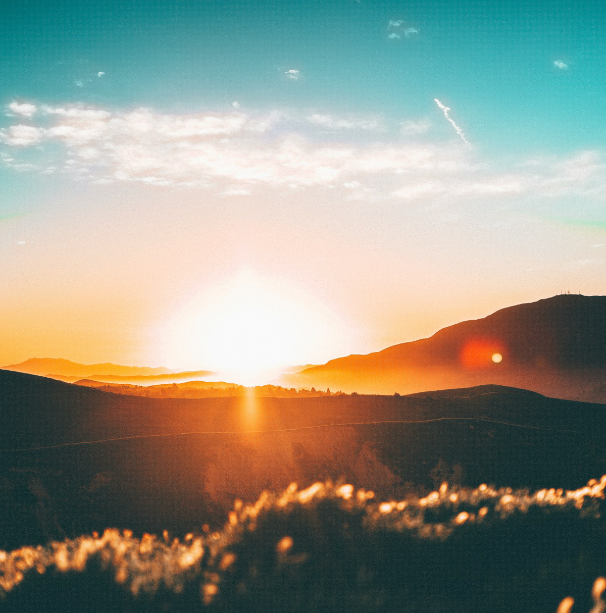 Bold Horizon- Our Strategic Plan